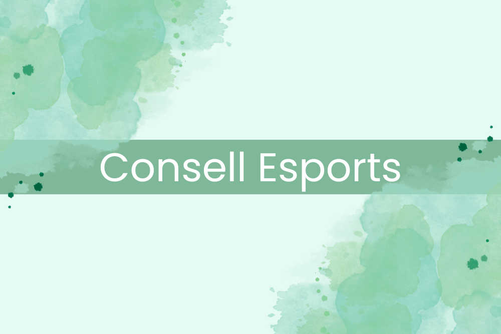 Consell Sectorial d&#39;Esports