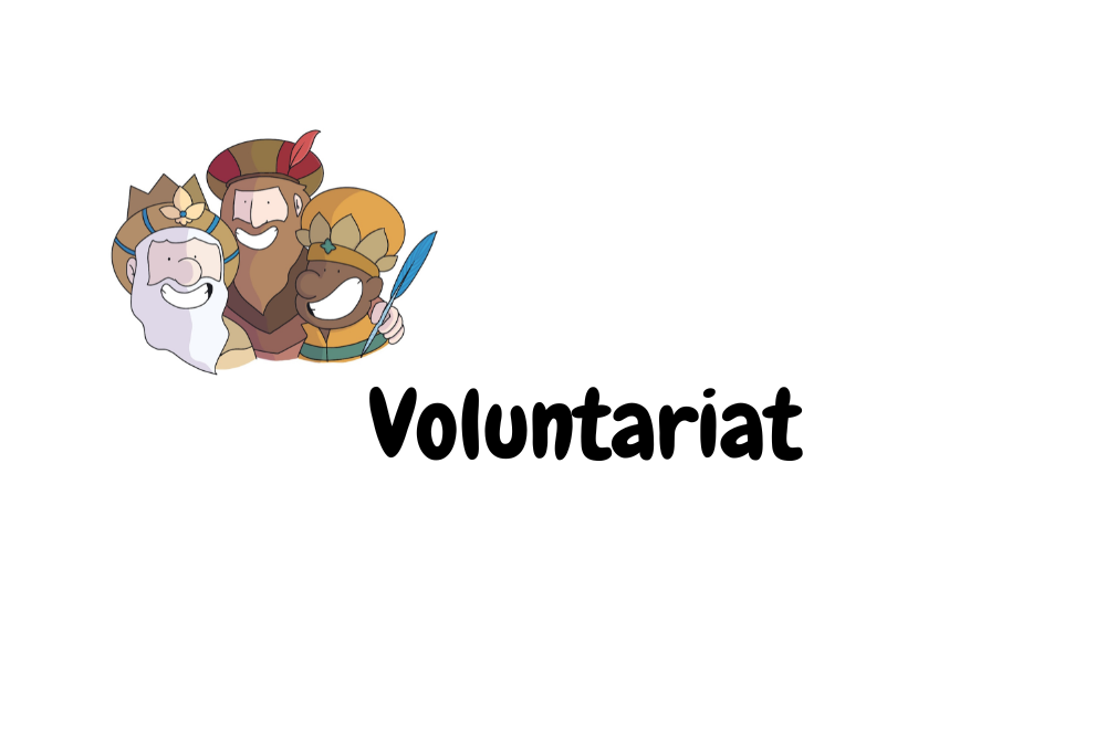 Voluntariat Reis