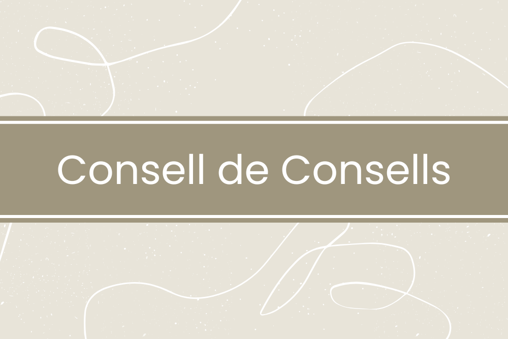 Imatge pels mitjans: Consell de Consells