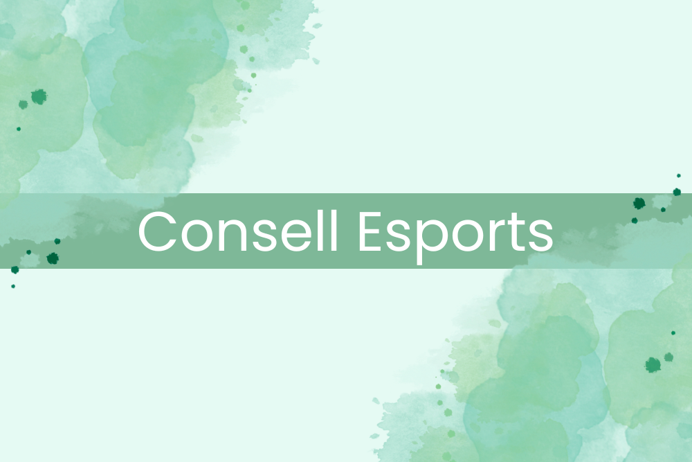 Imatge pels mitjans: Consell Sectorial d&#39;Esports