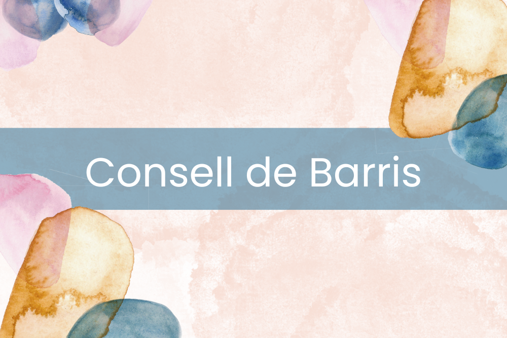 Imatge pels mitjans: Consell Sectorial de Barris