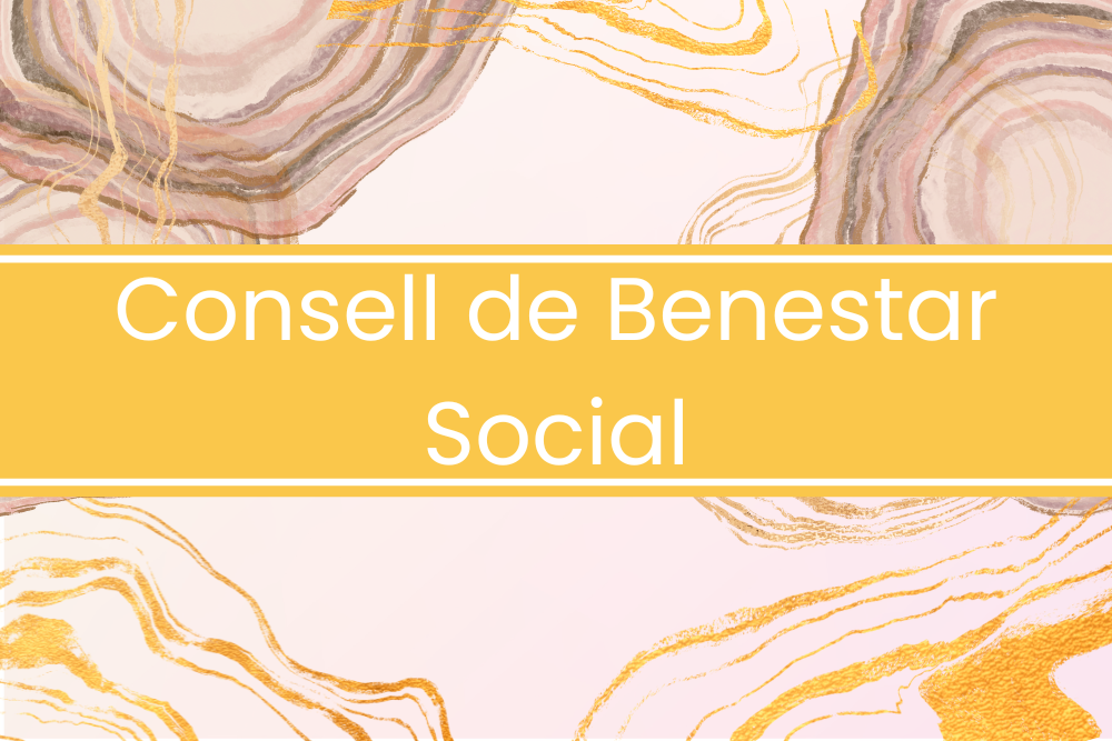 Imatge pels mitjans: Consell Sectorial de Benestar Social