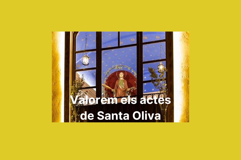 Imatge pels mitjans: Valorem Santa Oliva