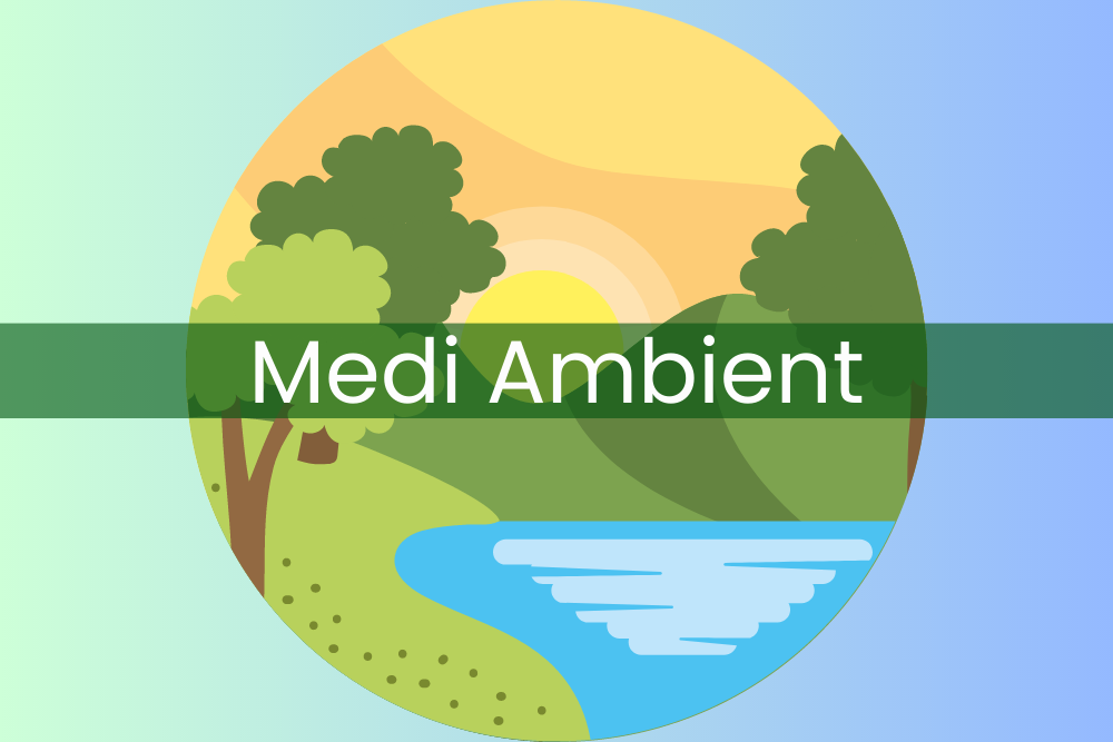 Imatge pels mitjans: MEDI AMBIENT