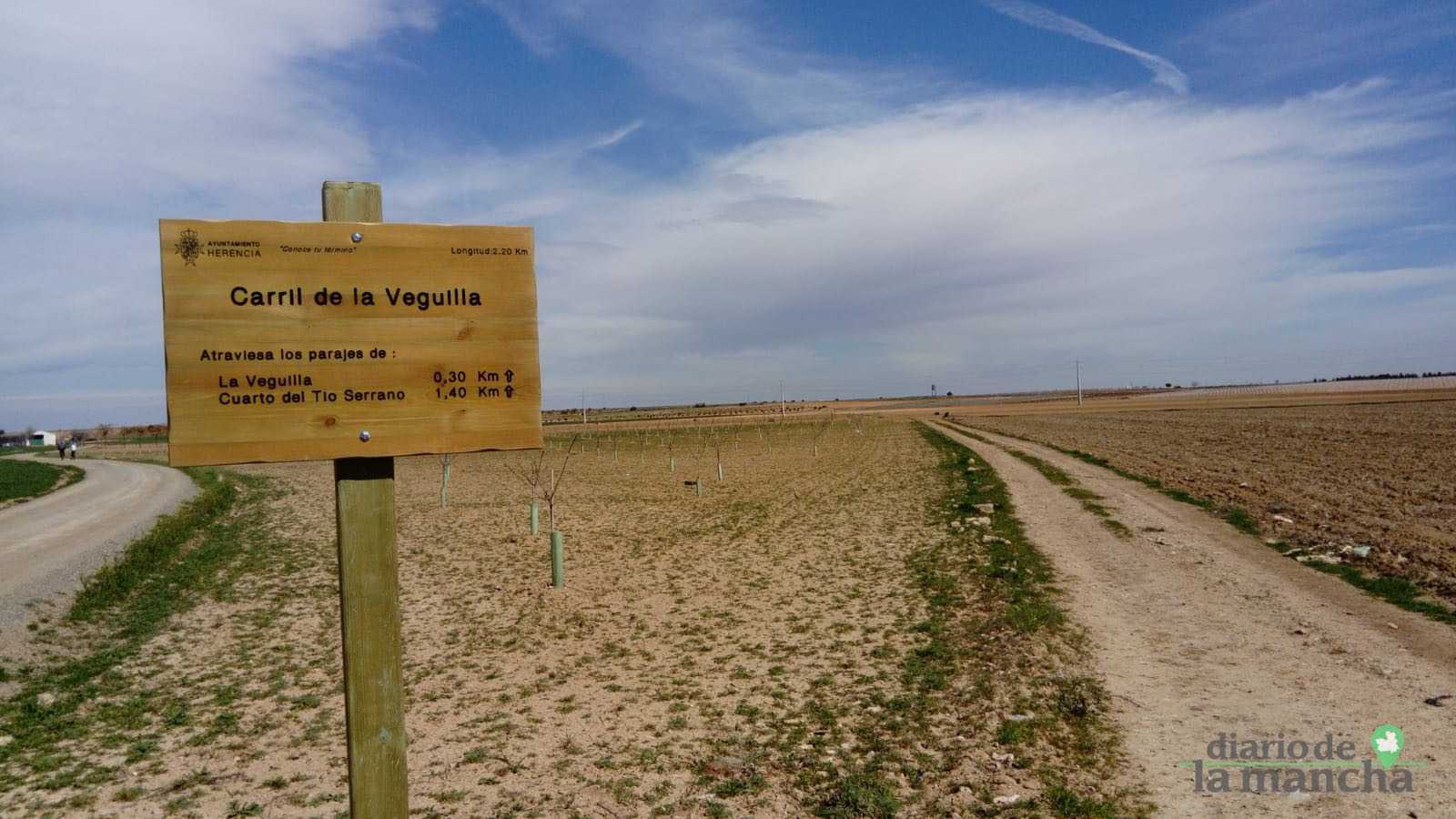 Imatge pels mitjans: Señalización de los caminos de Ribes Blaves