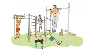 Imatge pels mitjans: Crear un parque para practicar Calistenia.