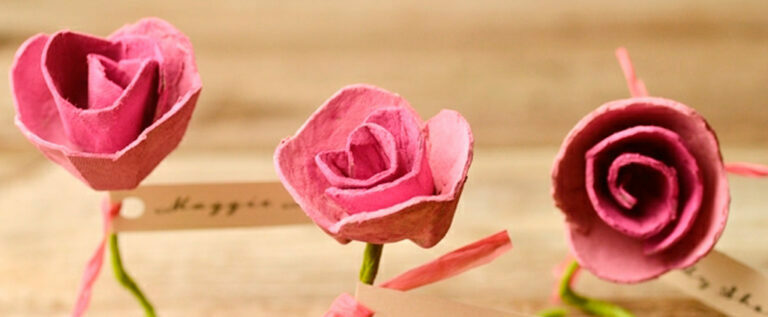 Imatge pels mitjans: Fer la rosa de Sant Jordi des de casa