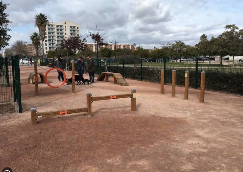 Imatge pels mitjans: Pipican -Agility (Les Planes)