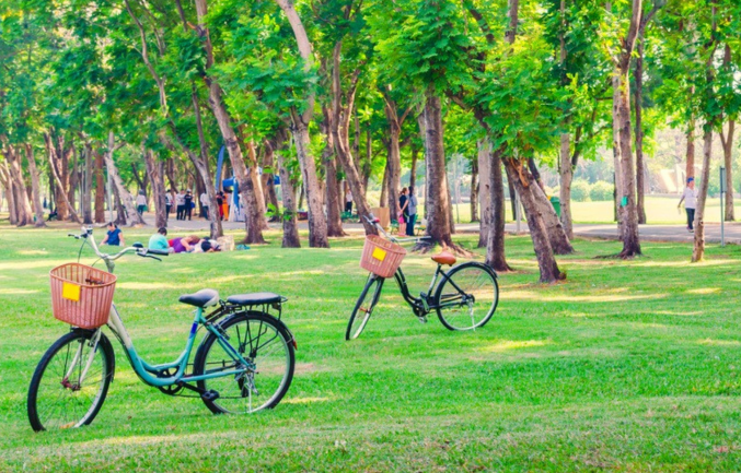 Imatge pels mitjans: Millorar els parcs i carrers 