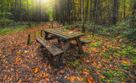 Imatge pels mitjans: Taules de pícnic a parcs i zones verdes 