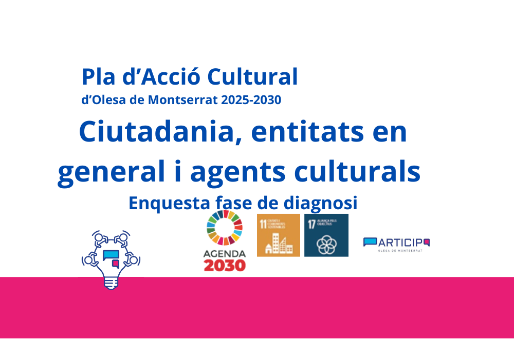 Enquesta ciutadana