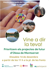 Priorització ciutadana