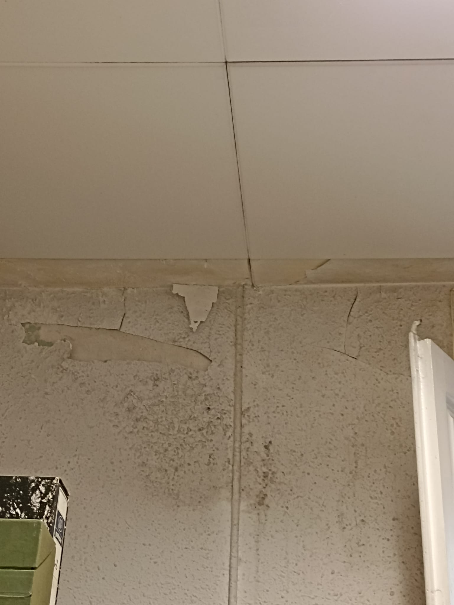 Imatge pels mitjans: Pintar parets i arreglar esquerdes