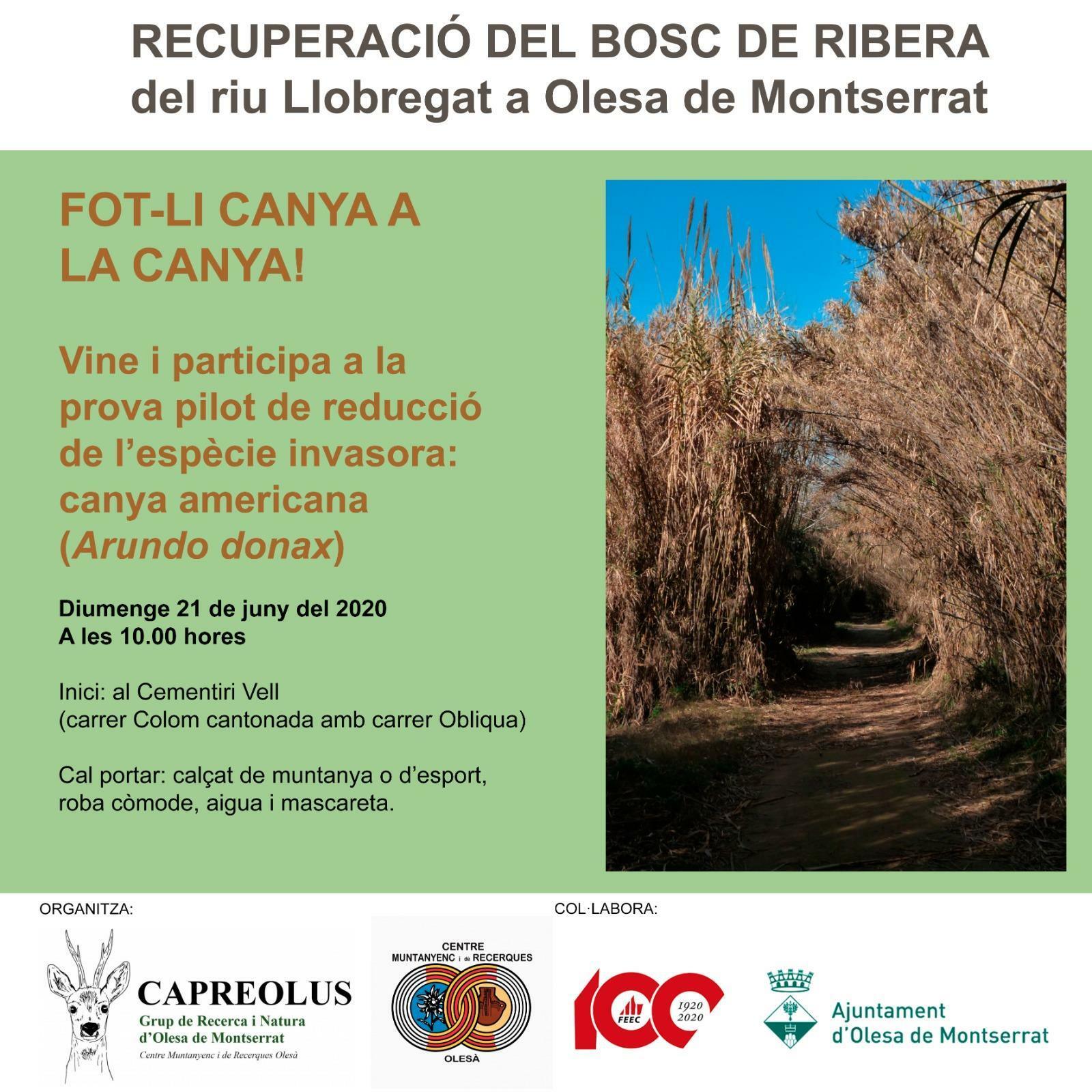 Imatge pels mitjans: Vine a trepitjar canyes a l'Areny del Molí!