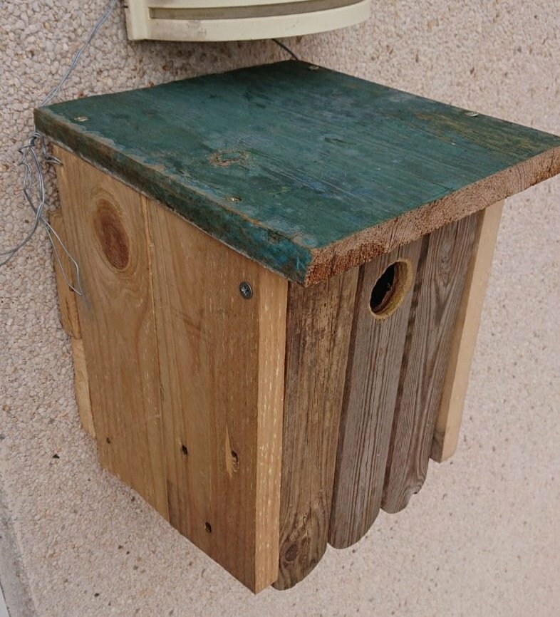 Imatge pels mitjans: Com fer una caixa niu per a ocells