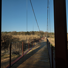 pasarela_ripoll_0012.jpg