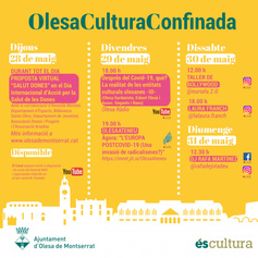 Cartell activitat