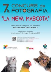 Cartell activitat