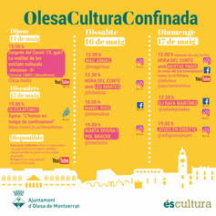 Cartell activitat