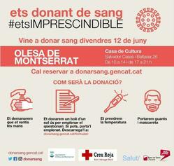 Cartell activitat