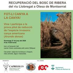 Cartell activitat