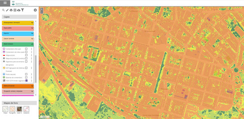 NDVI.jpg